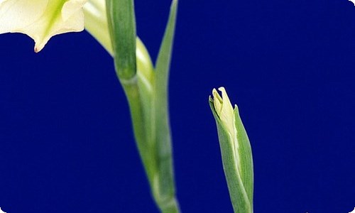 给幼儿表扬信范文-资源网