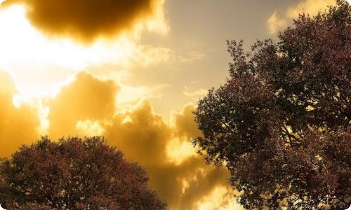 欢送支教老师发言稿-资源网