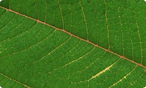 【推荐】教学设计方案锦集七篇-资源网