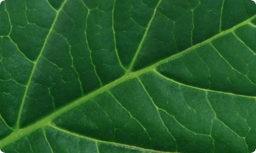 会计辞职报告(15篇)-资源网
