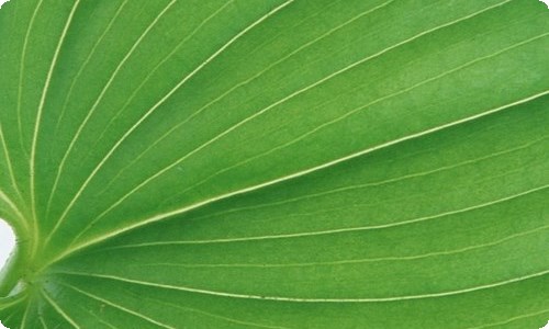 写给老师的感谢信精选15篇-资源网