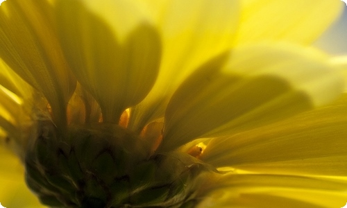 摔跤吧爸爸观后感-资源网