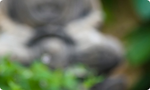 关于表扬信-资源网