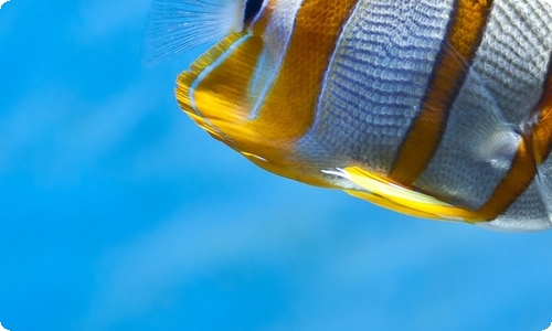 《美丽人生》观后感-资源网