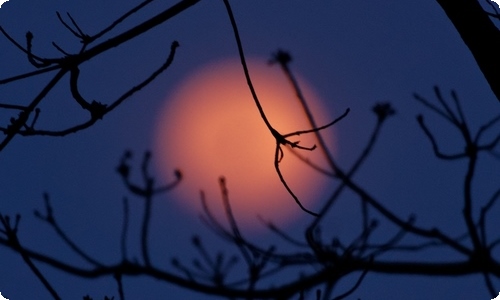 可爱的小学作文-资源网