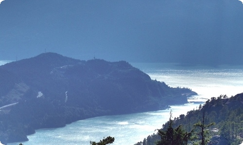 企业节能降耗的口号-资源网