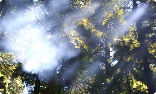 家长会家长代表发言稿-资源网