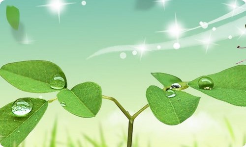《念书的孩子》观后感-资源网