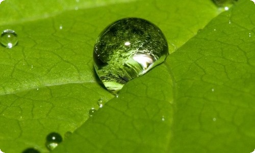 精彩的初中生活作文-资源网