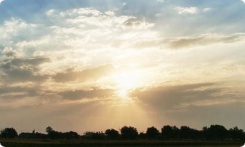 给客户的感谢信-资源网