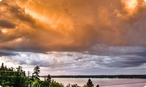 放牛班的春天观后感-资源网