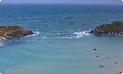 《化石吟》教学设计-资源网