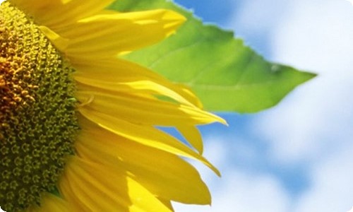 初中化学教学设计-资源网