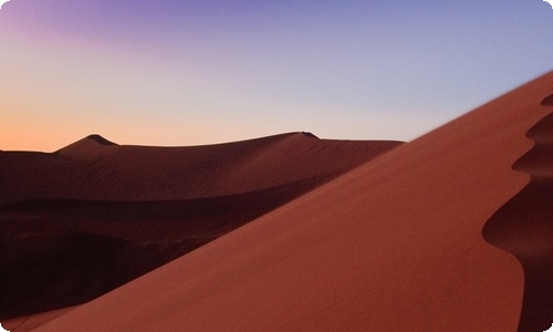 树之歌教学设计-资源网