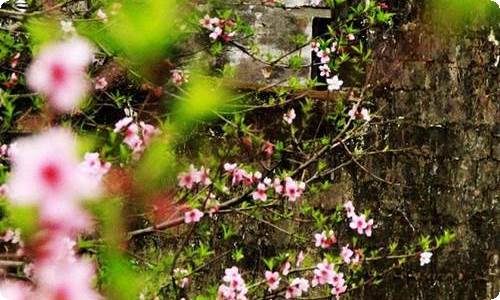 给父母的感谢信-资源网