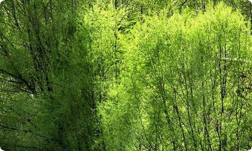 有关员工对公司的感谢信4篇-资源网