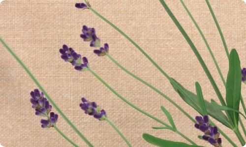 新娘父亲致辞-资源网