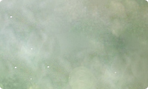 雨初中作文(汇编15篇)-资源网