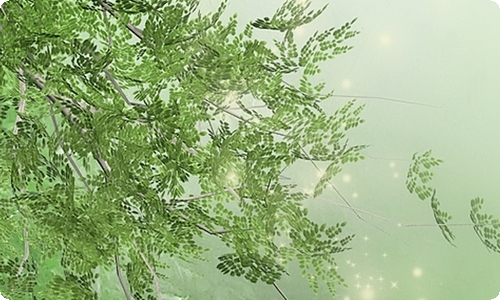 竞选班干部发言稿【荐】-资源网