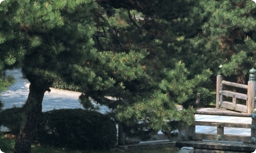 小学竞选班长发言稿(15篇)-资源网