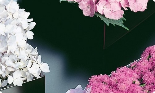 《圆的面积》教学设计-资源网