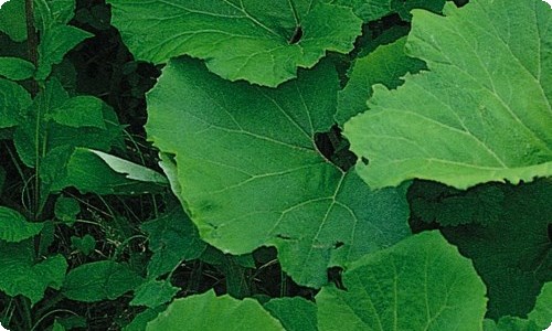 《爱的教育》读后感汇编15篇-资源网