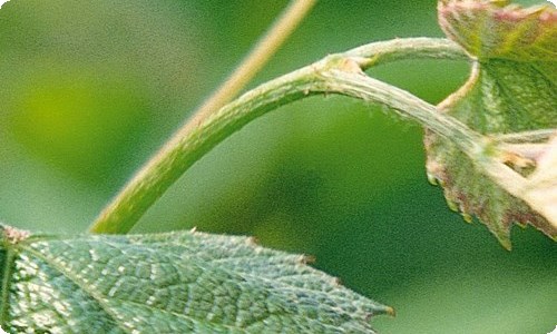 创建文明城市倡议书-资源网