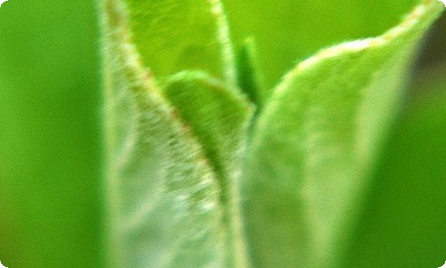个人安全责任书14篇-资源网
