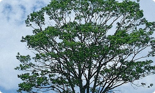 小学校园生活作文-资源网