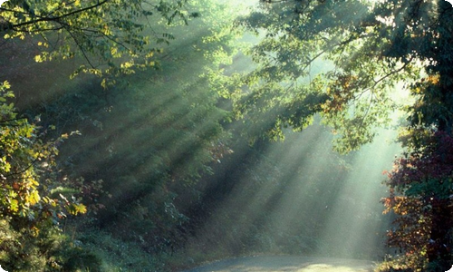 读书是快乐的演讲稿-资源网