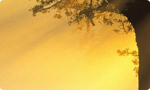 八十天环游地球读后感-资源网