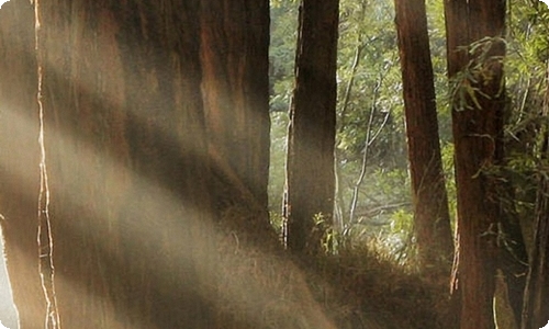 聊斋志异读后感-资源网
