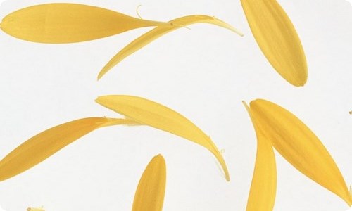 家长代表发言稿合集15篇-资源网