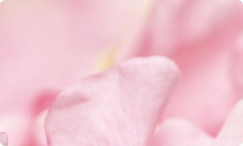 《假如》说课稿-资源网