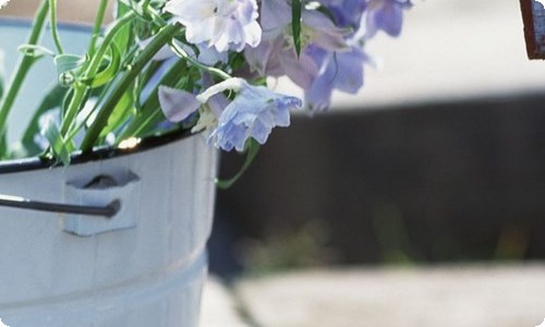 月亮与六便士读后感-资源网