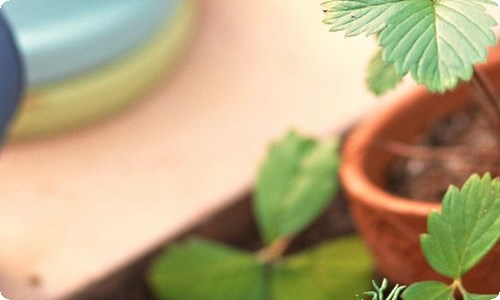 《变形金刚4》观后感-资源网