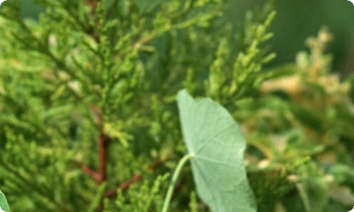 《八佰》观后感集合15篇-资源网
