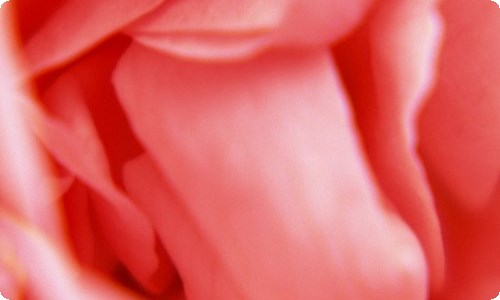 初一新生开学典礼发言稿-资源网