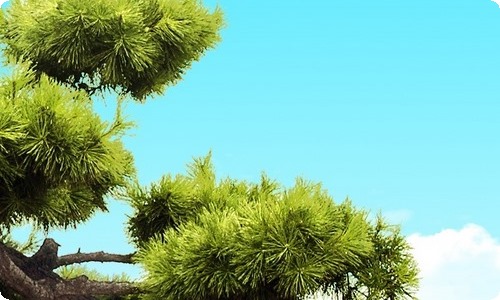 高中英语说课稿-资源网