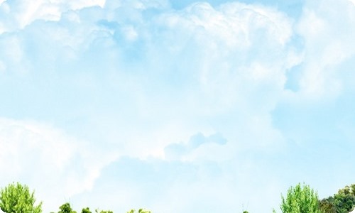 卖火柴的小女孩读后感11篇-资源网