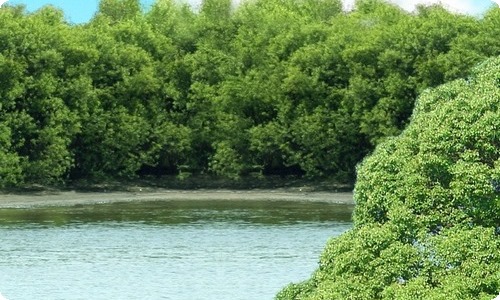 企业年会发言稿通用15篇-资源网