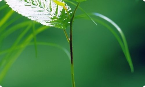 电算化会计实习报告-资源网