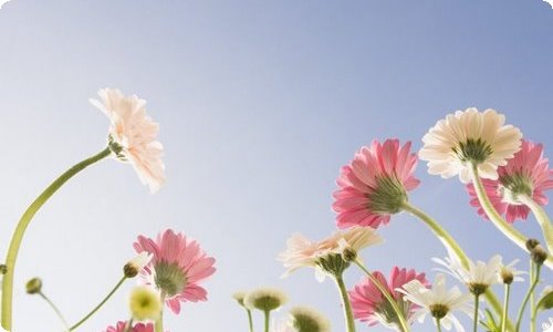 关于幼儿园大班社会教案模板汇总七篇-资源网