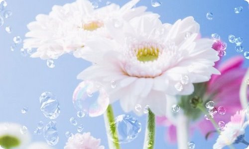 大班科学有趣的关节教案-资源网