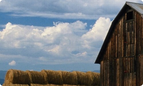 劝学教案-资源网