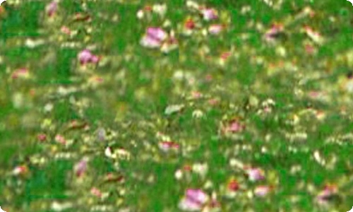 测量员自我鉴定-资源网