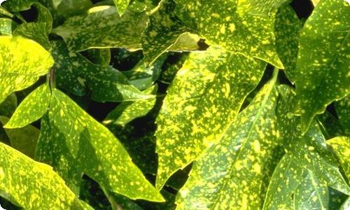 小学信息技术教案-资源网