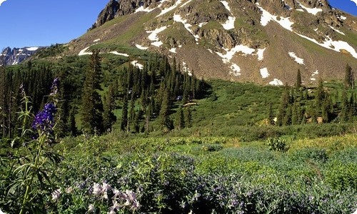 安全主题班会教案设计-资源网