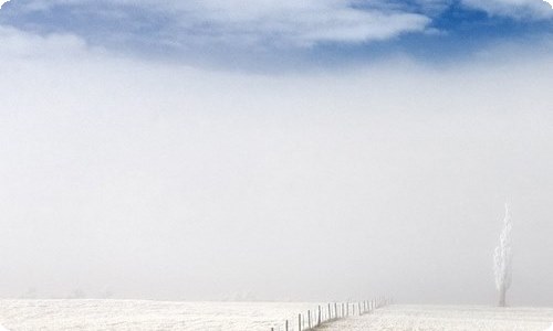 大班游戏教案剪刀石头布-资源网