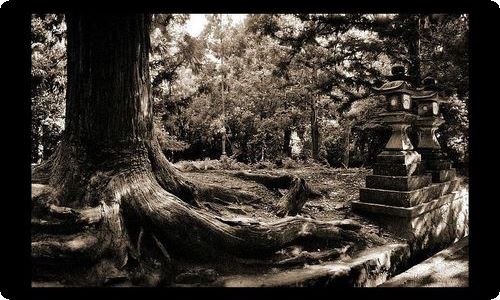 高中生综合素质自我评价-资源网